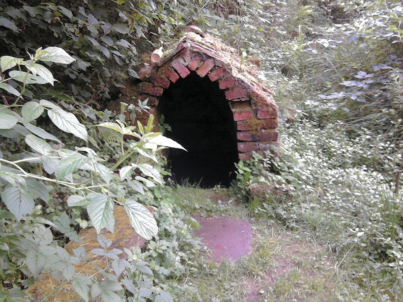 studánka U Rovínku (5924) - srpen 2012