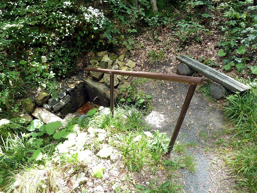 studánka Pod Pánovou loukou (5934) - srpen 2012