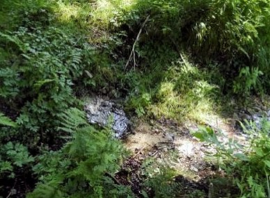 studánka Moravská Sázava (5937) - srpen 2012