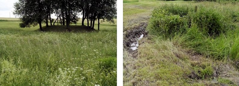 jiný vodní zdroj Šlapanka (5941) - srpen 2012