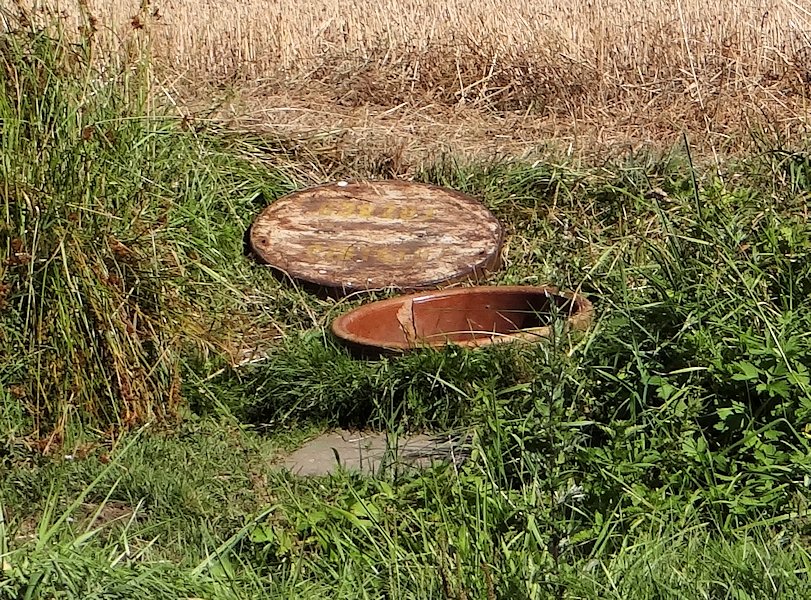 studánka Pod Hvězdou (5950) - srpen 2012