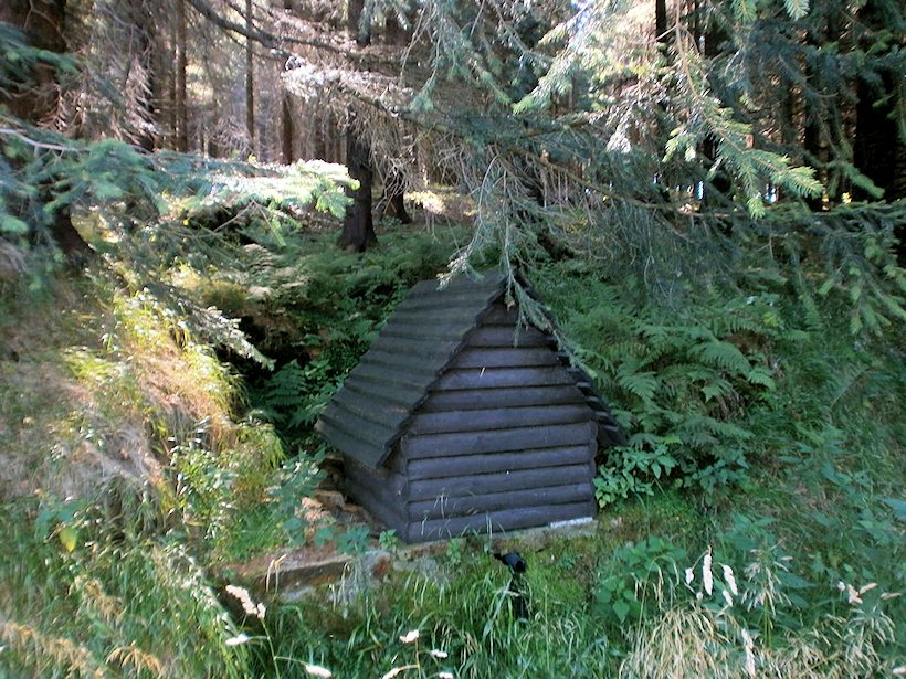 studánka bez jména (5963) - srpen 2012