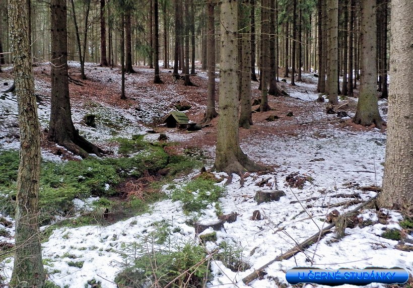 Černá studánka (5967) - datum neznámé