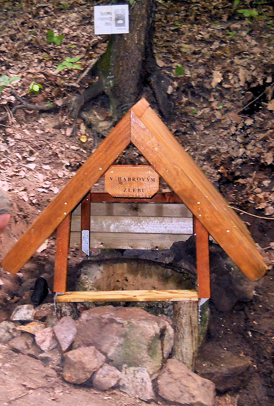 studánka V Habrovým žlebu (5970) - listopad -0001
