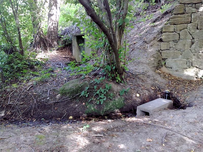 studánka Pod Lipkou 1 (5971) - srpen 2012