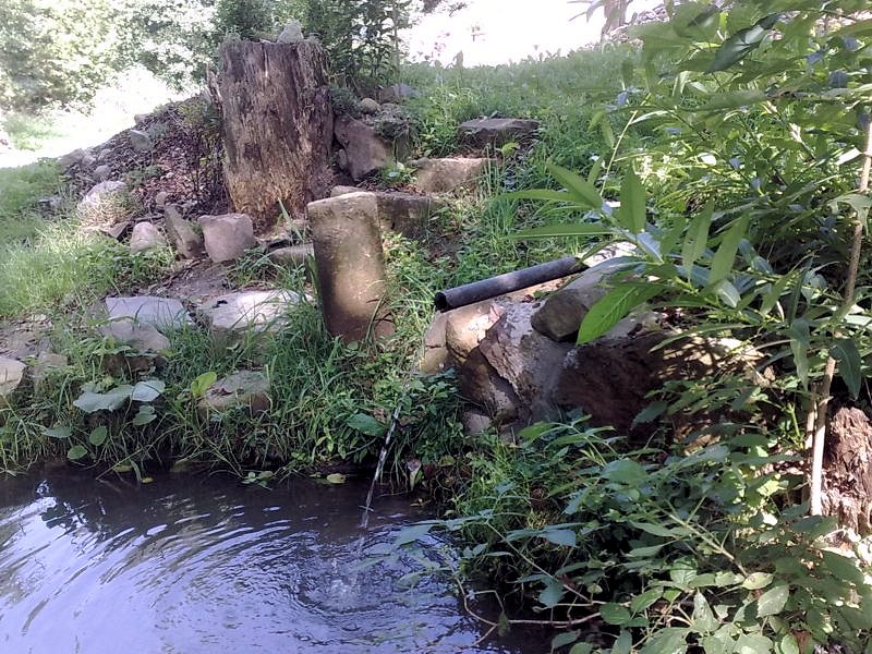 studánka Pod Lipkou 2 (5972) - srpen 2012