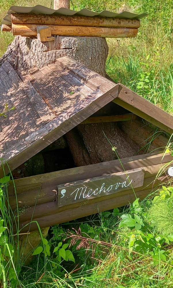 Zelená studánka (5986) - červenec 2024