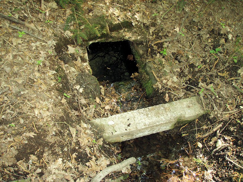 Homylská studánka (5990) - září 2012