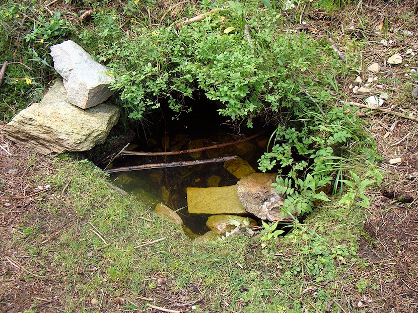 studánka V Koleně (6006) - září 2012