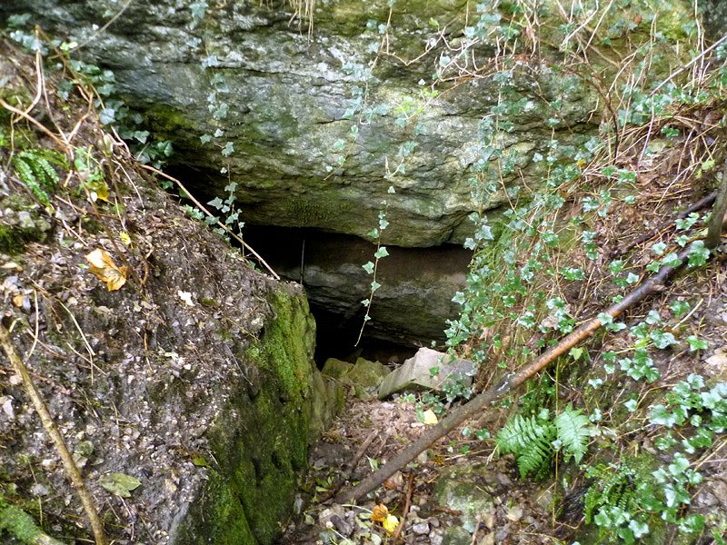 Tetínská vyvěračka (6027) - září 2012