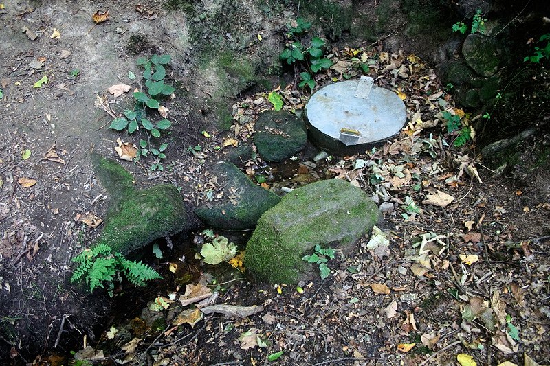 studánka Šuchcova (6049) - září 2012