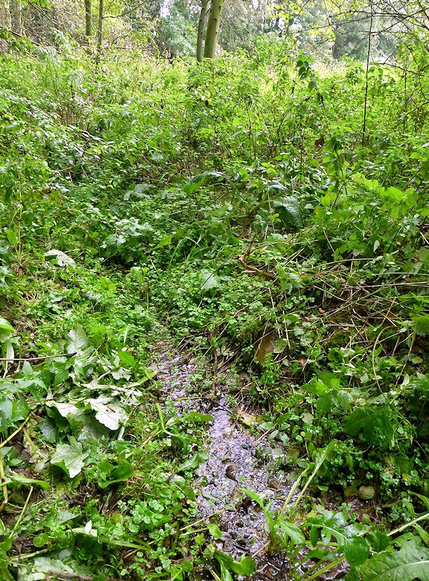 prameniště Travertinový pramen (6052) - říjen 2012