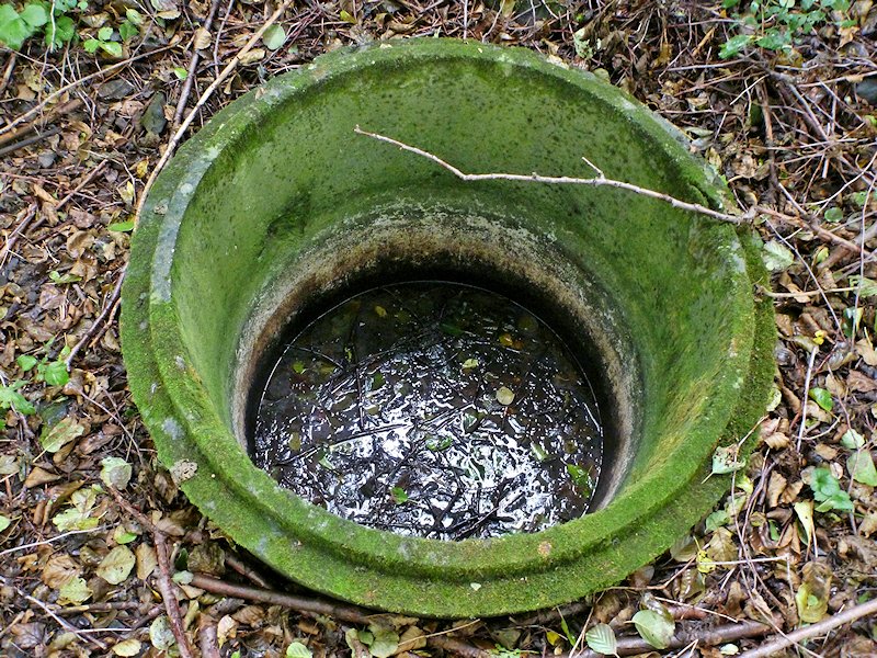 Bahnitý pramen (6054) - říjen 2012