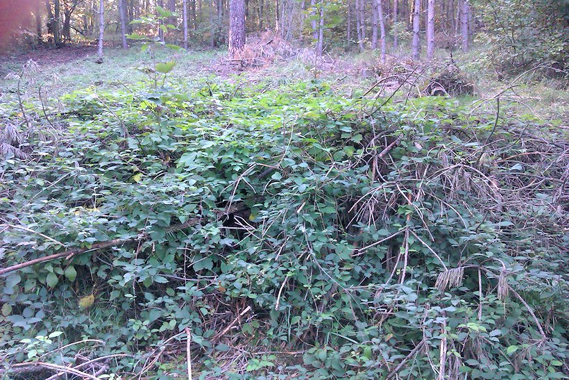 studánka bez jména (6056) - datum neznámé