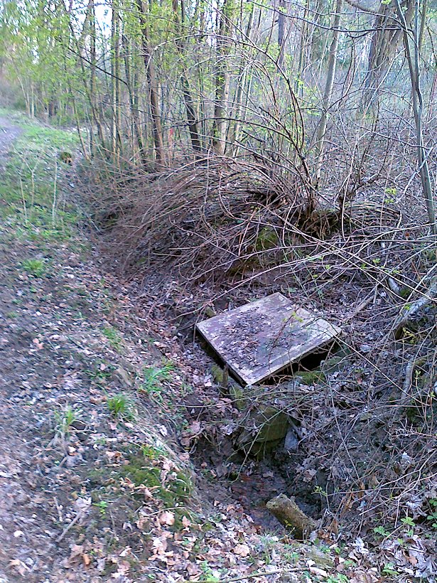 Studánka u Serpentýn (6062) - říjen 2012