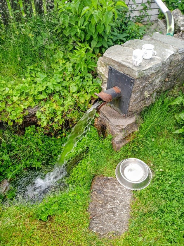 studánka bez jména (6065) - červen 2024