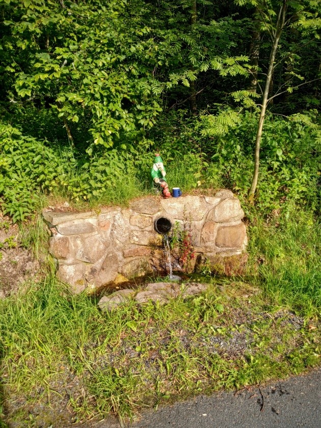 studánka bez jména (6067) - červen 2024