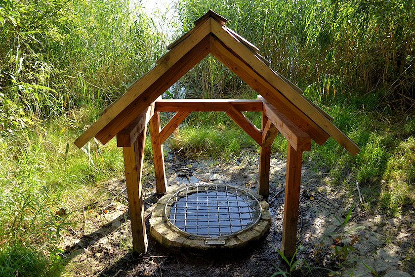 studánka Na Boleváku (6073) - říjen 2012