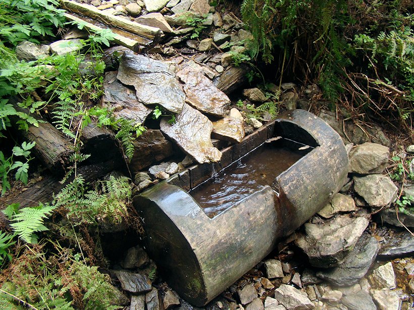 studánka U Staré vozové cesty (6085) - říjen 2012