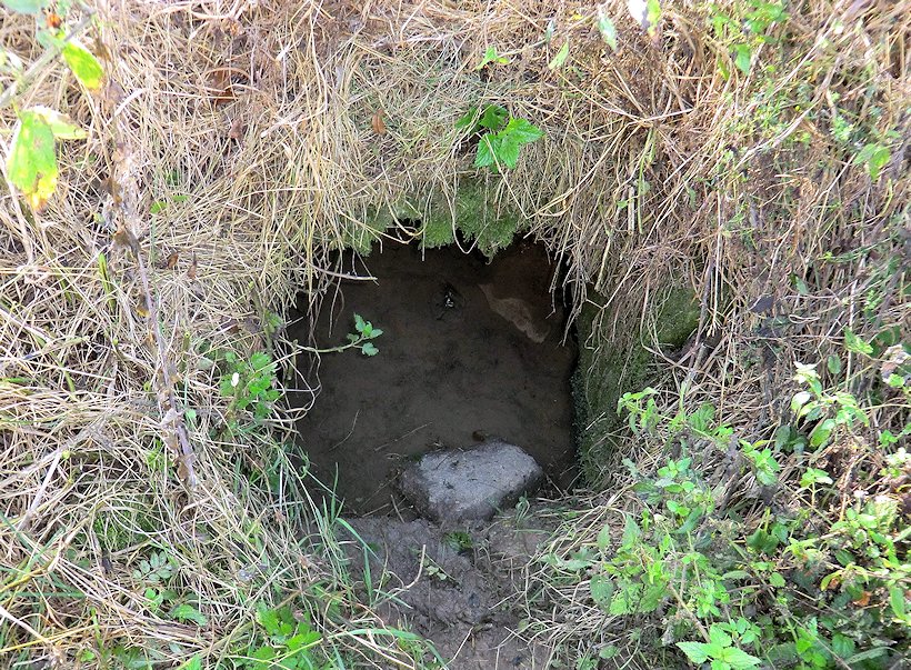 studánka Na Blatech (6098) - říjen 2012