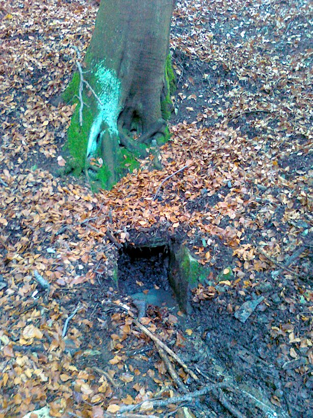 studánka Na Bukové stráni (6106) - říjen 2012