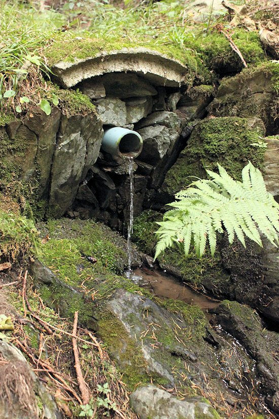 studánka Pod Pěnčínem (6108) - říjen 2012