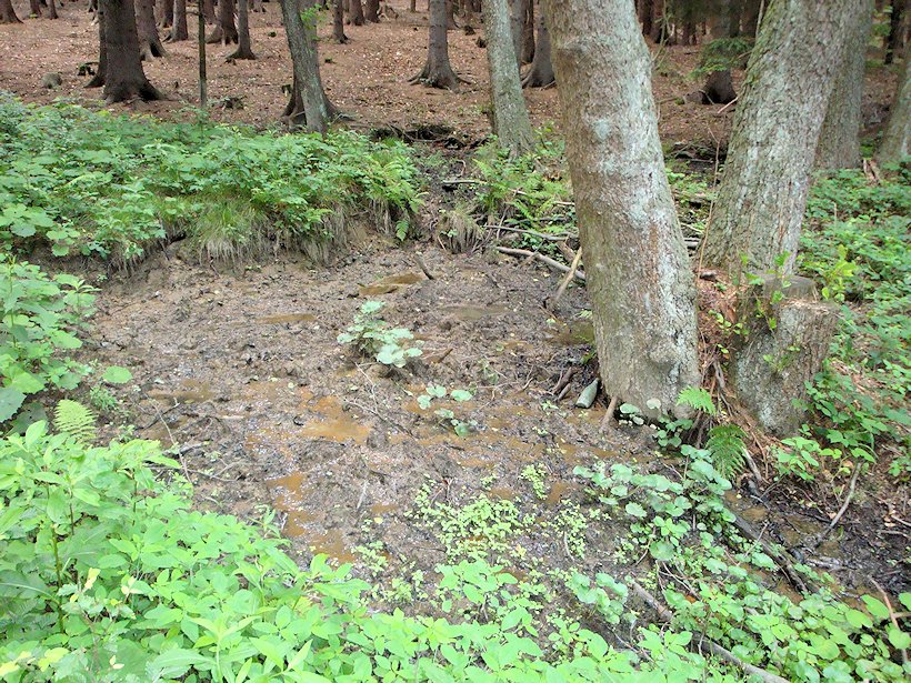 prameniště bez jména (6123) - říjen 2012