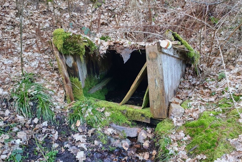 studánka U bídy (6135) - březen 2024