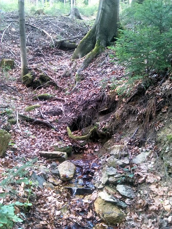 studánka Čechačka (6141) - říjen 2012