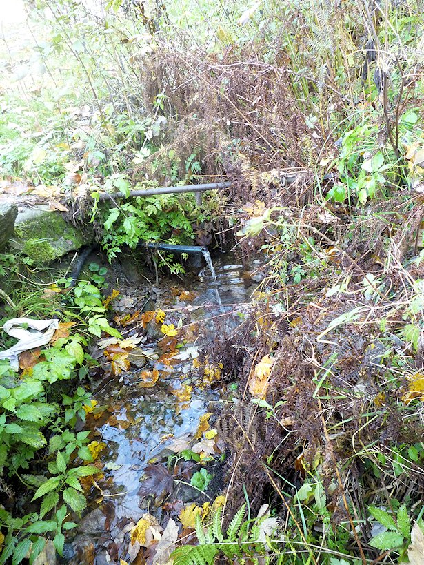 studánka Doubravanka (6148) - říjen 2012