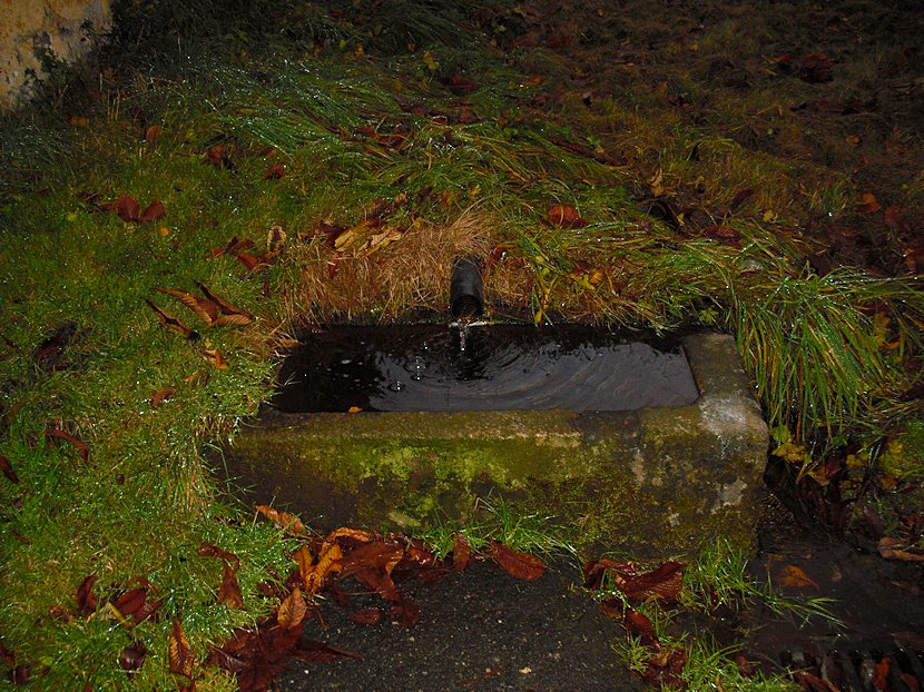 studánka Zvonková  (6207) - listopad 2012