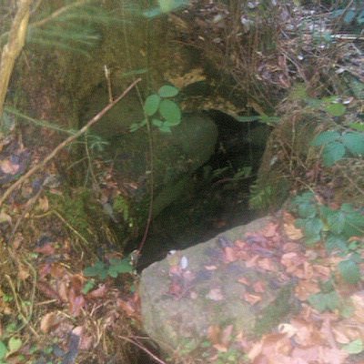 studánka Pod Muchovem (6212) - listopad 2012