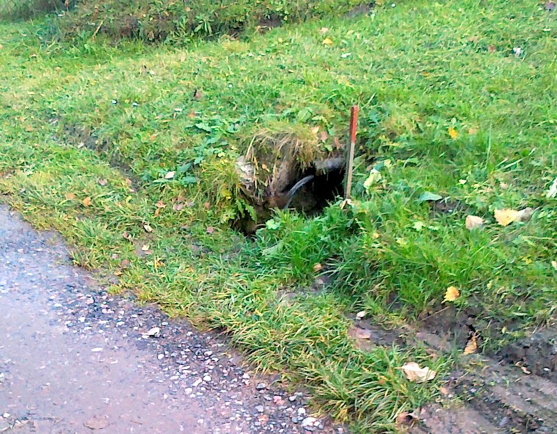 studánka Nad Saharou (6216) - listopad 2012