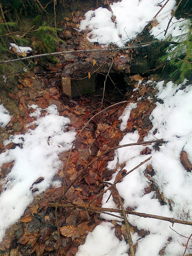 studánka Pod Křížovou cestou (6217) - listopad 2012
