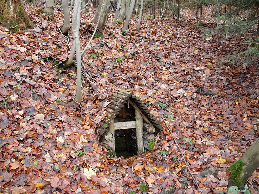 studánka Pod Jezevčí skálou (6224) - listopad 2012