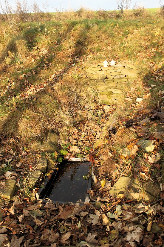 studánka Lipová (6229) - listopad 2012