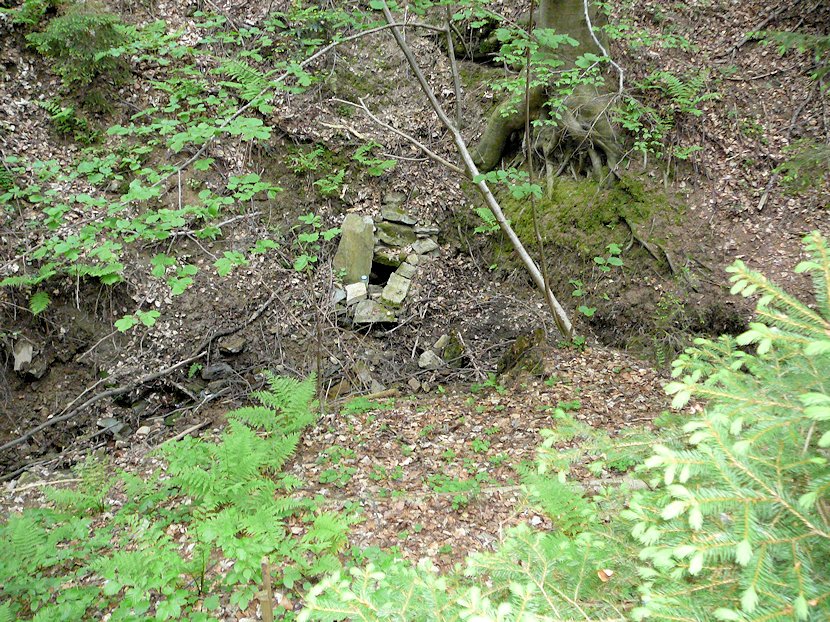 studánka Schönová hospoda (6244) - listopad 2012