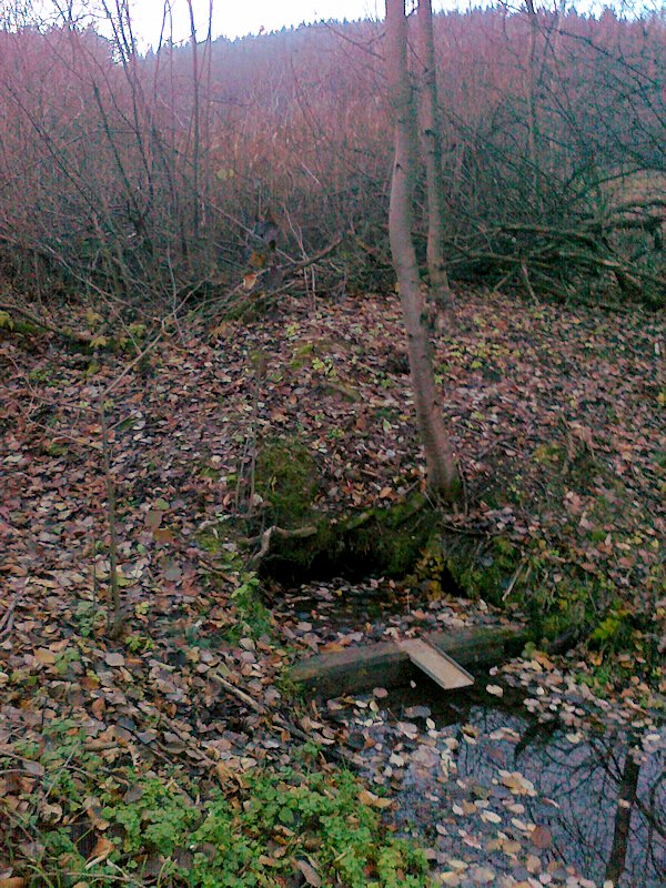 studánka U rybníčka (6251) - listopad 2012