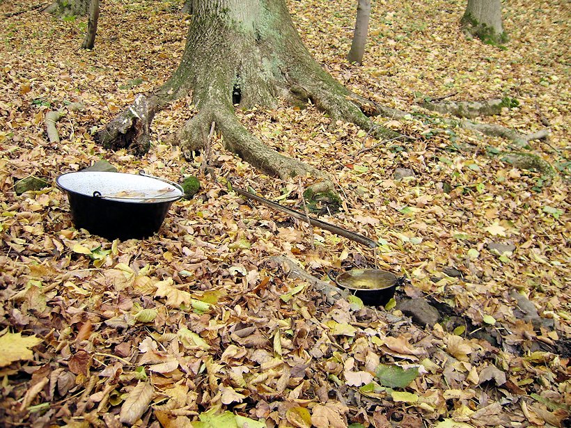 studánka Nad týpkem (6260) - listopad 2012