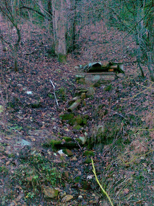 studánka U Korýtka (6280) - listopad 2012