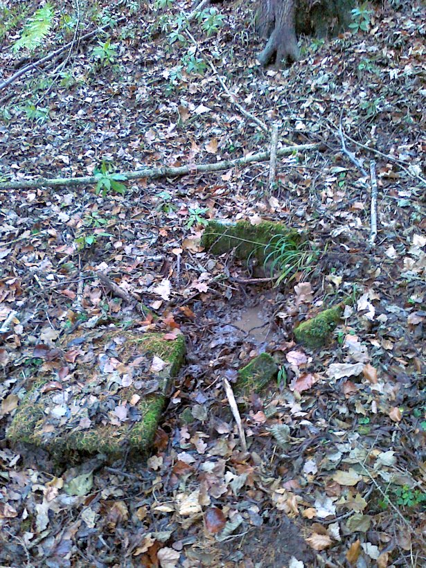 studánka V Dolním Lipovci (6293) - prosinec 2012