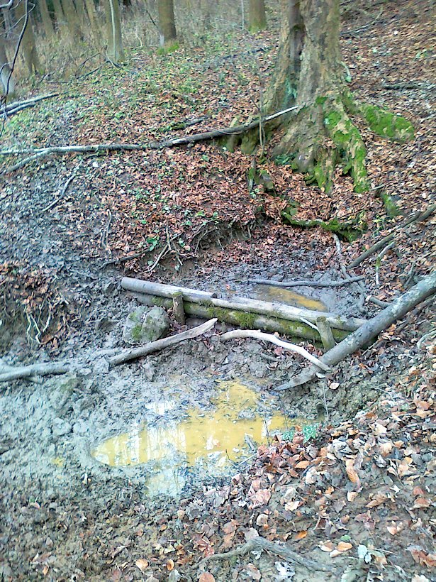 studánka Pod Samkovým kopcem (6295) - prosinec 2012