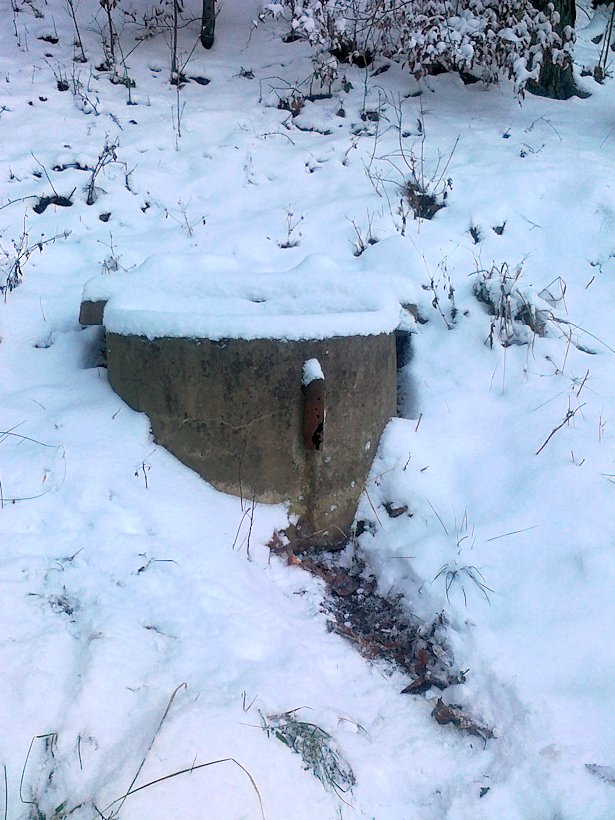 studánka Nad koupalištěm (6297) - prosinec 2012