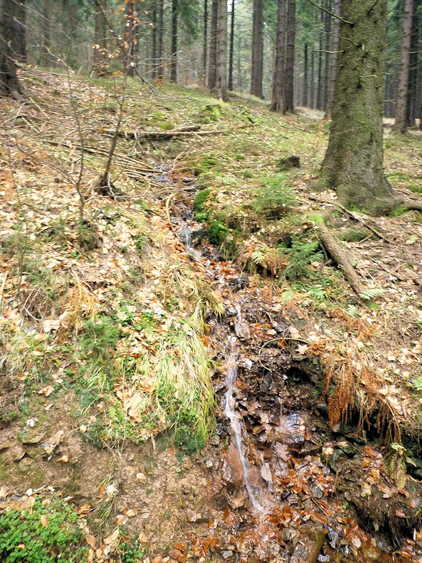studánka U Zámečku (6303) - prosinec 2012