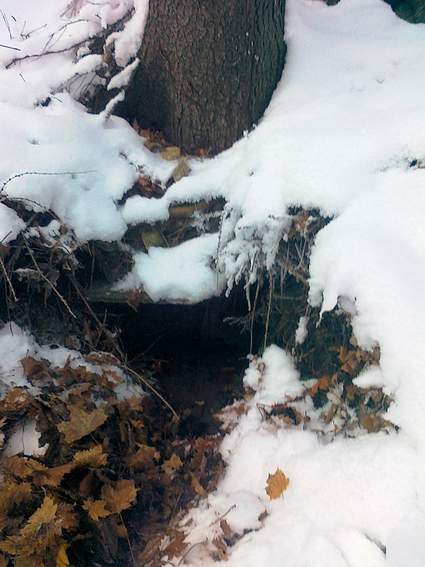 studánka Pod Jelenicí (6305) - prosinec 2012
