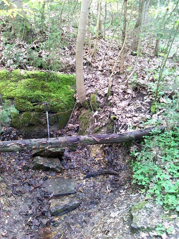 studánka Nad Habeší (6307) - prosinec 2012
