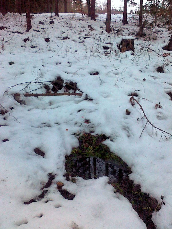 studánka Na Kohoutě (6322) - prosinec 2012