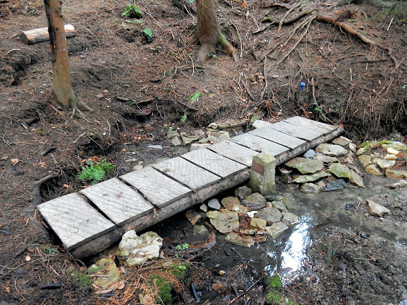 prameniště Aslanova studánka (6323) - prosinec 2020