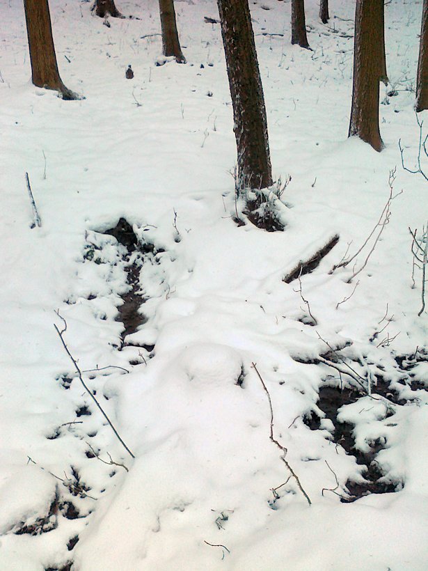prameniště Pod Javorníkem (6327) - prosinec 2012