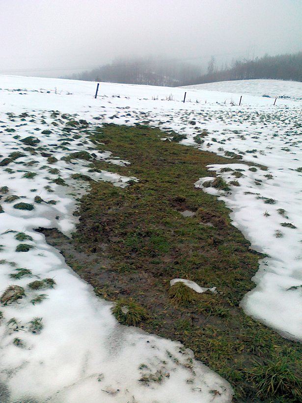 pramen Pod Malínskou krčmou (6328) - prosinec 2012
